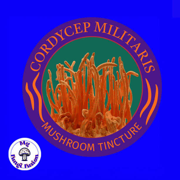 Cordyceps Mushroom Tincture