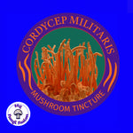 Cordyceps Mushroom Tincture